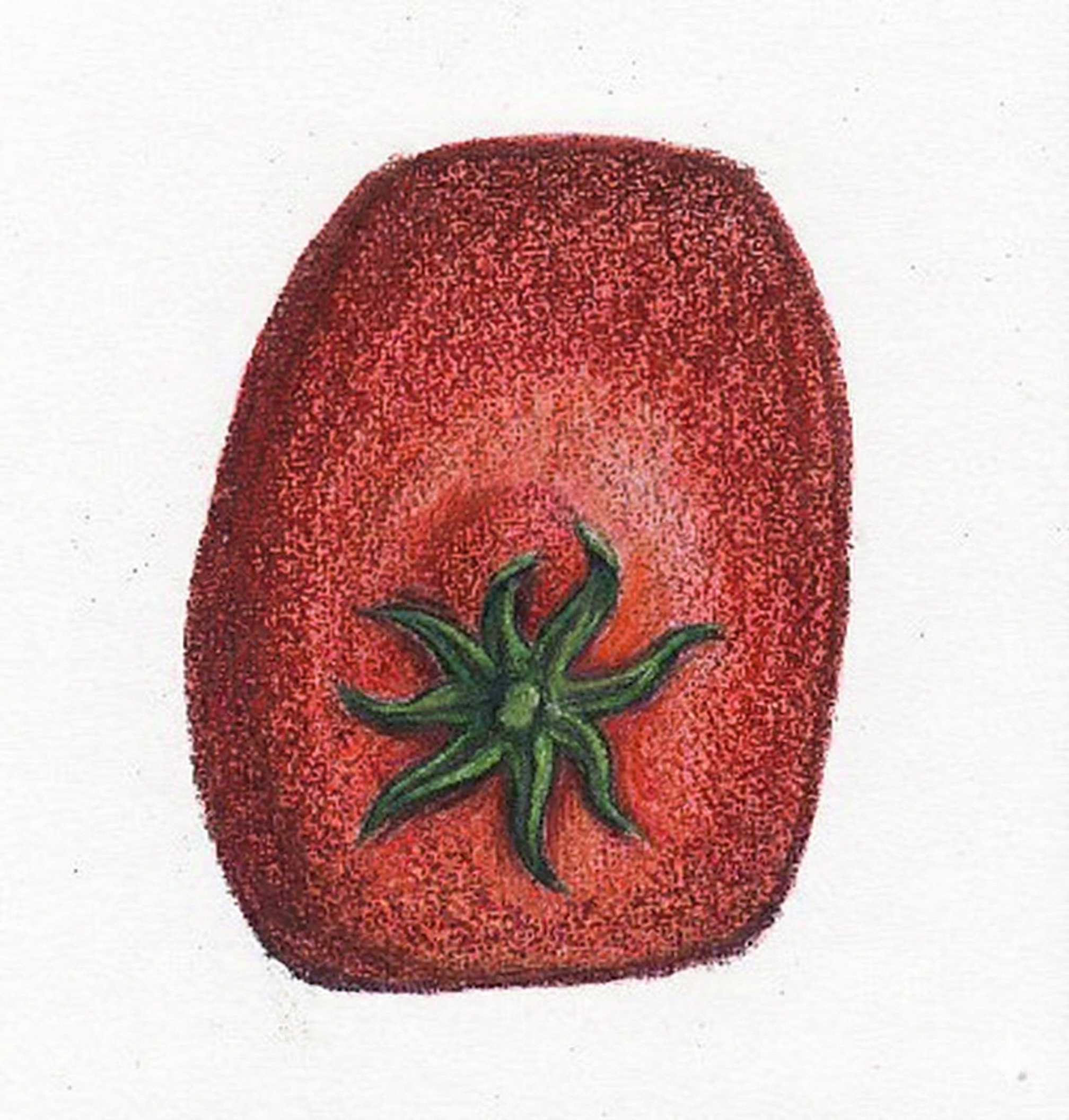 Illustration du chapitre 7